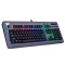 Level 20 RGB Titanium Gaming Keyboard Cherry MX Speed Silver (discontinued)