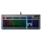 Level 20 RGB Titanium Gaming Keyboard Cherry MX Speed Silver (discontinued)